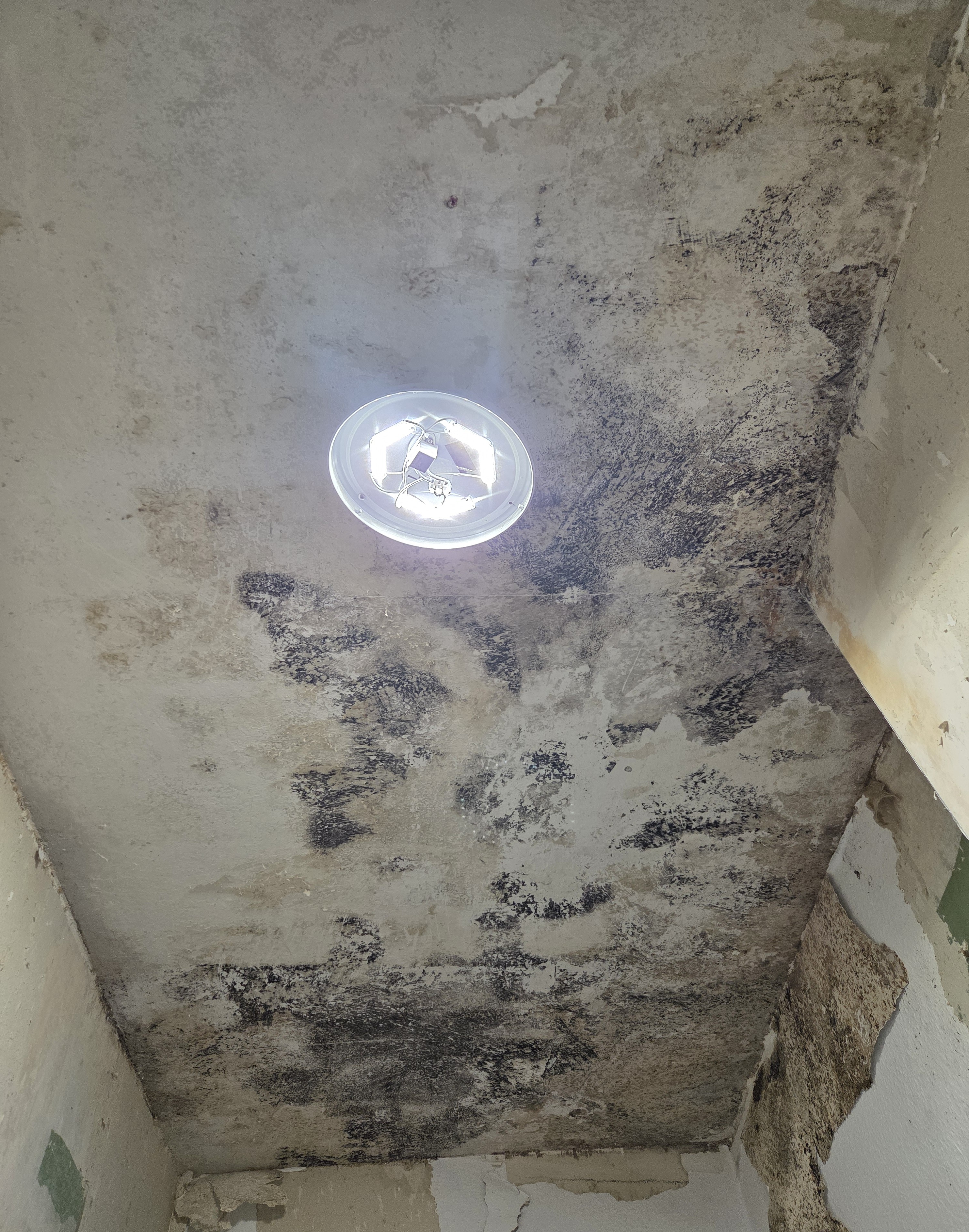Unter der Decke